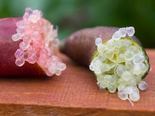 finger limes open to show fruit