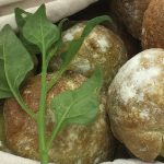 Green-tinted bread rolls are wrapped in a tea towel. A stem of fresh spinachy warrigal greens sits on top of them.