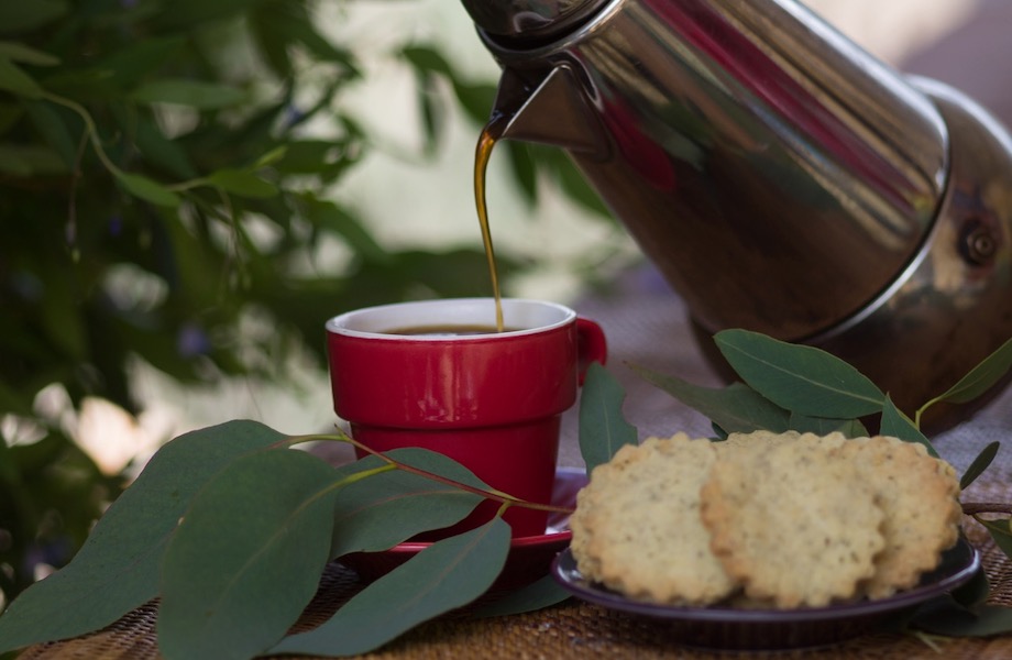 A silver coffeepot pours a dark liquid into a bright red cup. To the bottom right sits a pile of round biscuits with speckles through them, on a purple plate. Green leaves sit between the cup and biscuits, and in the background.
